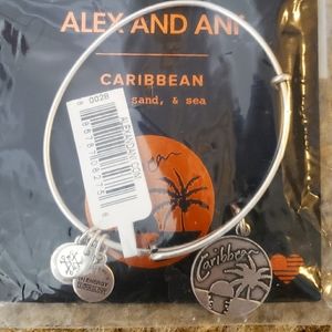 NWT Alex and Ani Caribbean Sunset Pewter Bangle